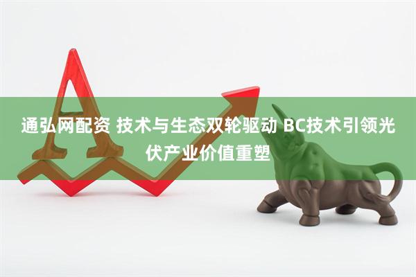 通弘网配资 技术与生态双轮驱动 BC技术引领光伏产业价值重塑