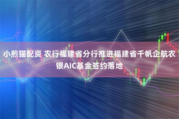 小煎猫配资 农行福建省分行推进福建省千帆企航农银AIC基金签约落地
